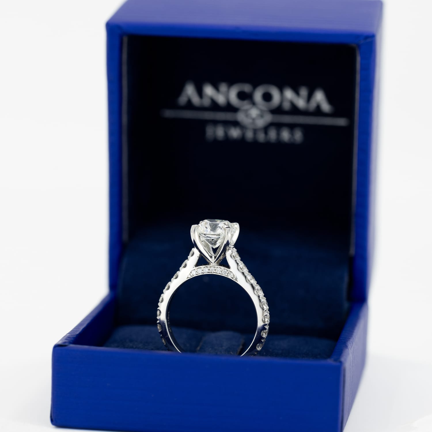 Ancona Select